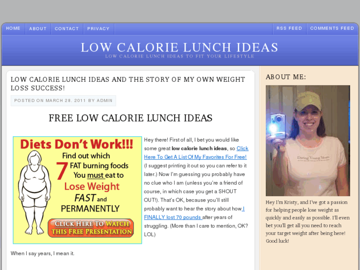 www.lowcalorielunchideas.com