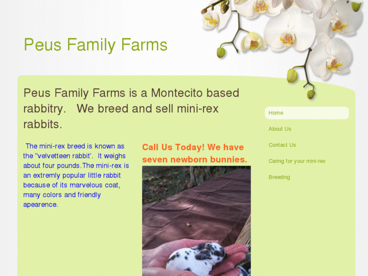 www.peusfamilyfarms.com