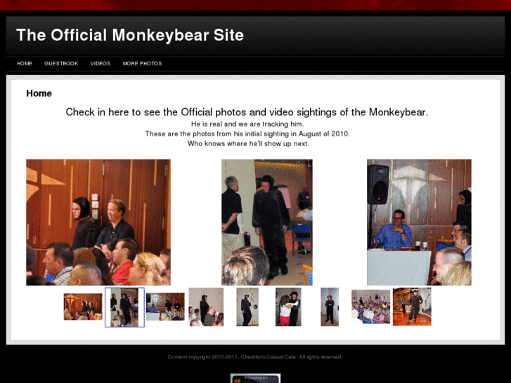 www.themonkeybear.net