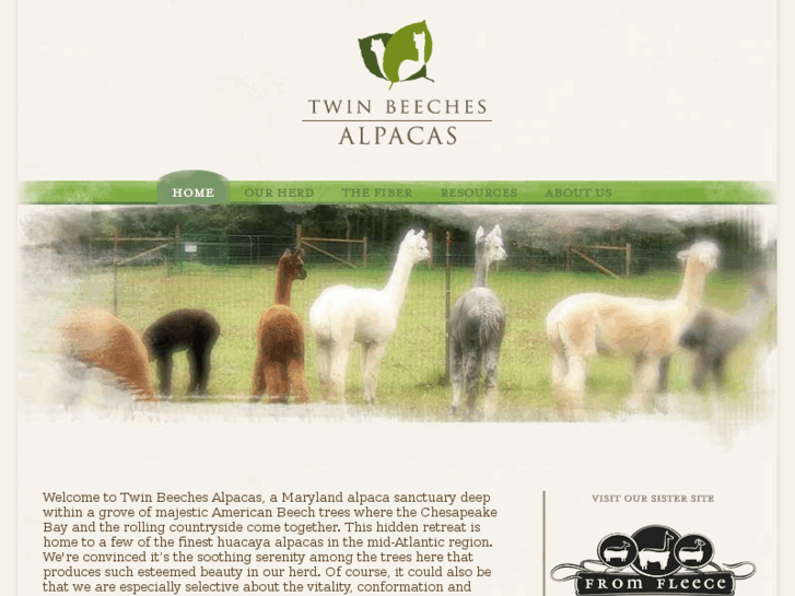 www.twinbeechesalpacas.com