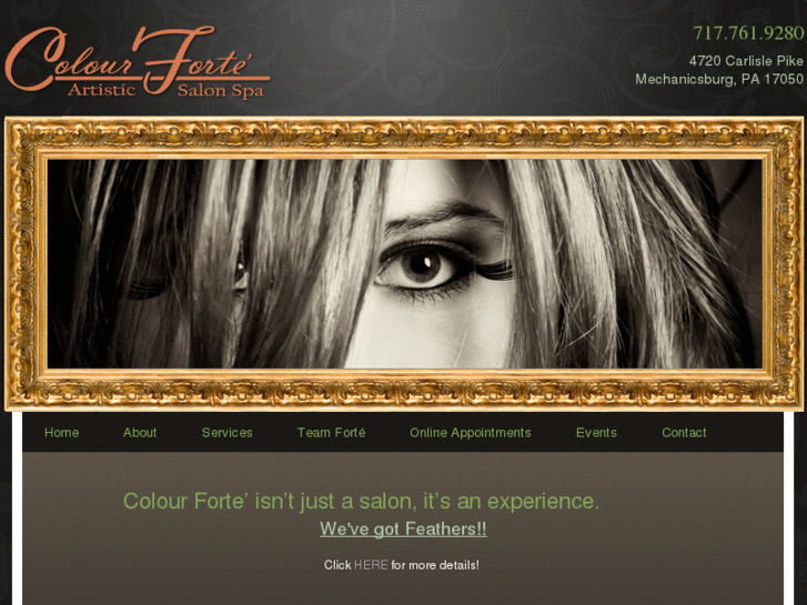 www.colourforte.com