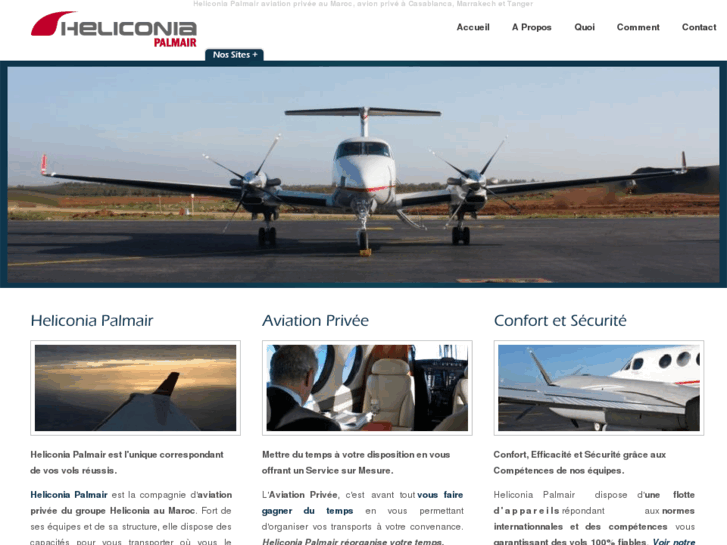 www.palmair-aviation.com