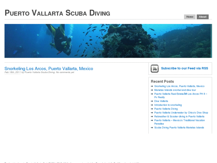 www.puertovallartascubadiving.net