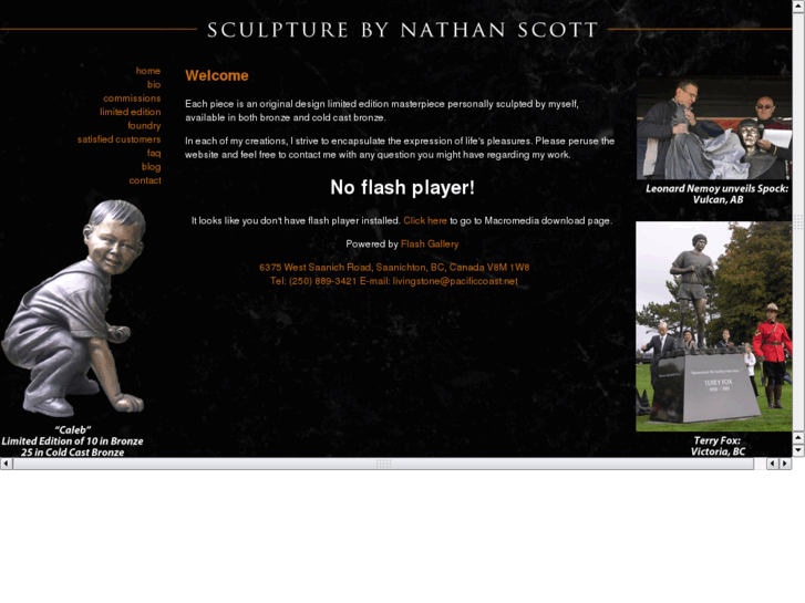 www.sculpturebynathanscott.com