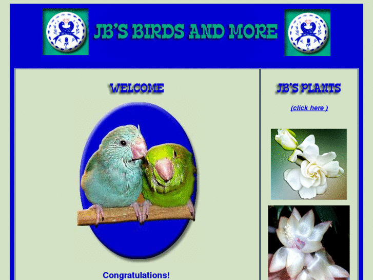 www.jbsbirdsandmore.com