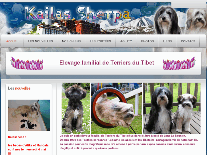 www.kailas-sherpa.com