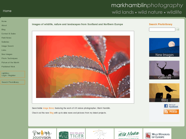 www.markhamblin.com