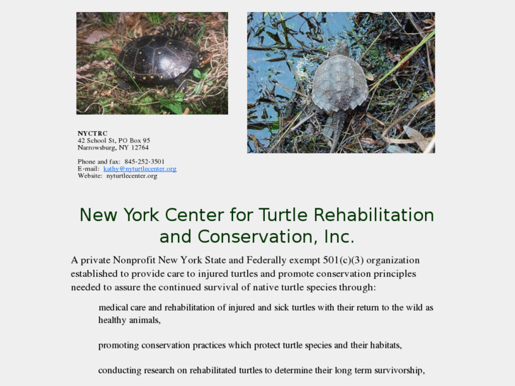 www.nyturtlecenter.org