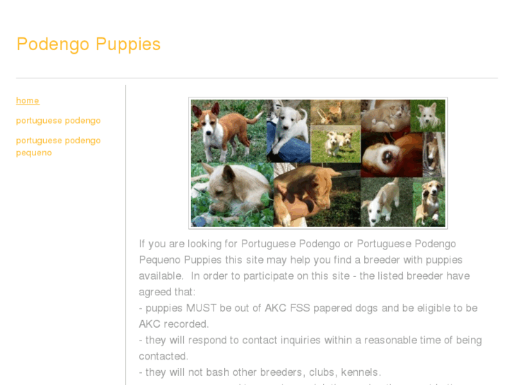 www.podengopuppies.com