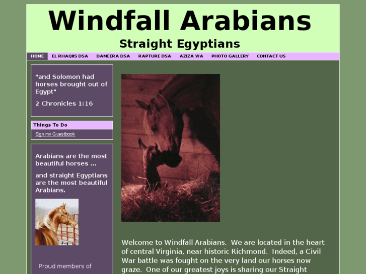 www.windfallarabians.org