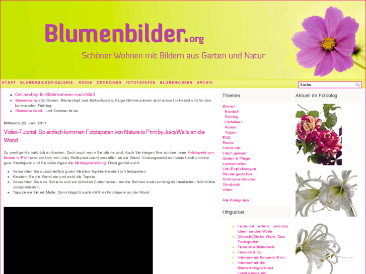 www.blumenbilder.org