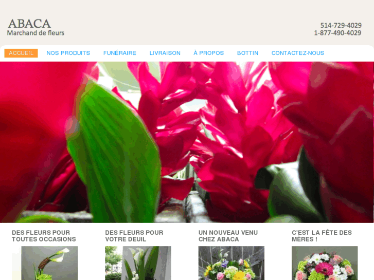 www.fleuristeabaca.com