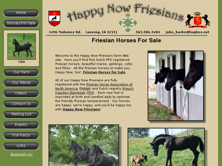 www.happynowfriesians.com