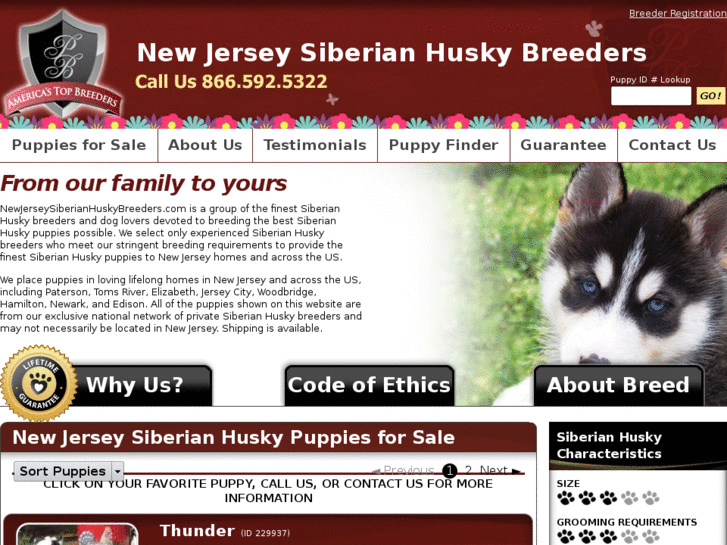 www.newjerseysiberianhuskybreeders.com