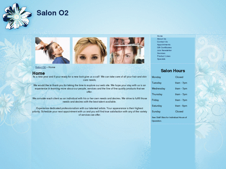 www.salono2.com