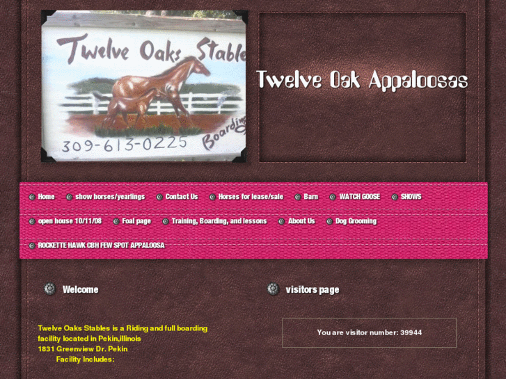 www.twelveoaksstables.com