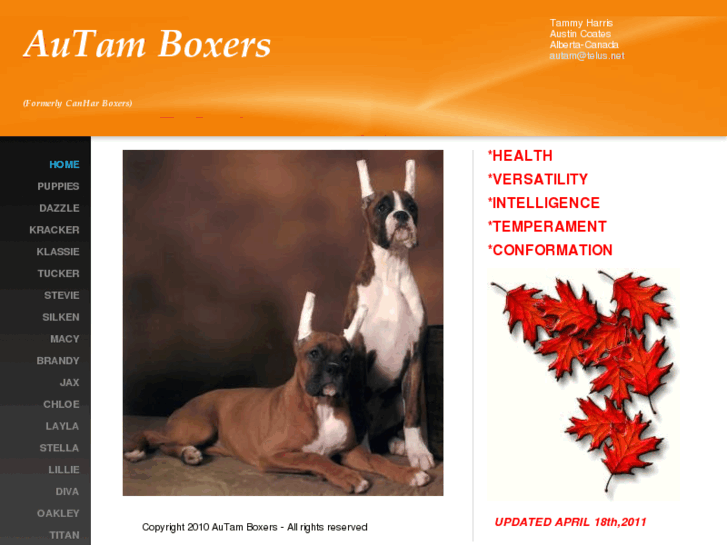 www.autamboxers.com