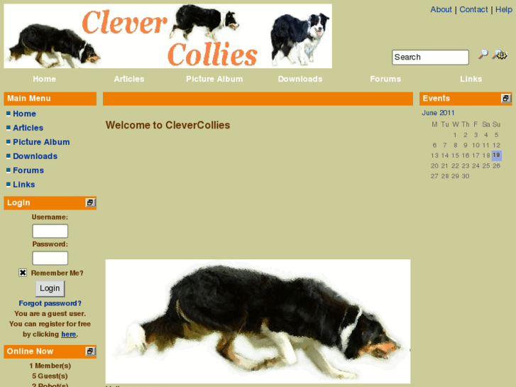 www.clevercollies.com