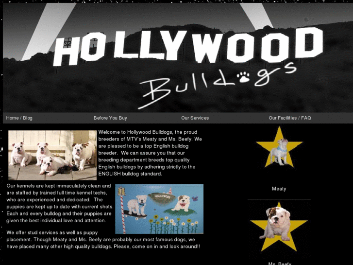 www.hollywoodbulldogs.com