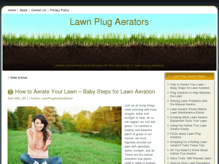 www.lawnplugaerator.net