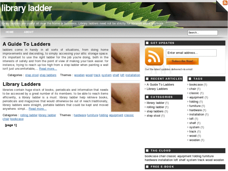 www.libraryladder.net