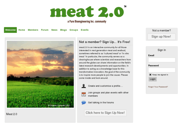 www.meat20.com