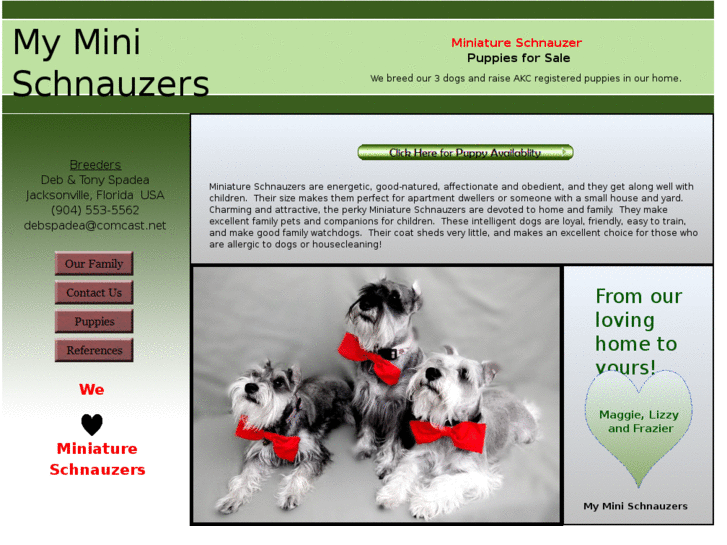 www.myminischnauzers.com