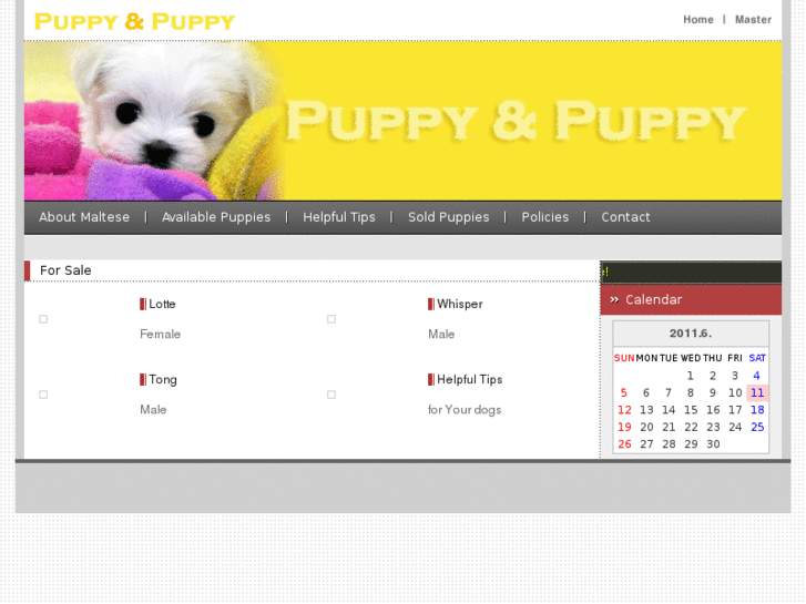 www.puppyandpuppy.com