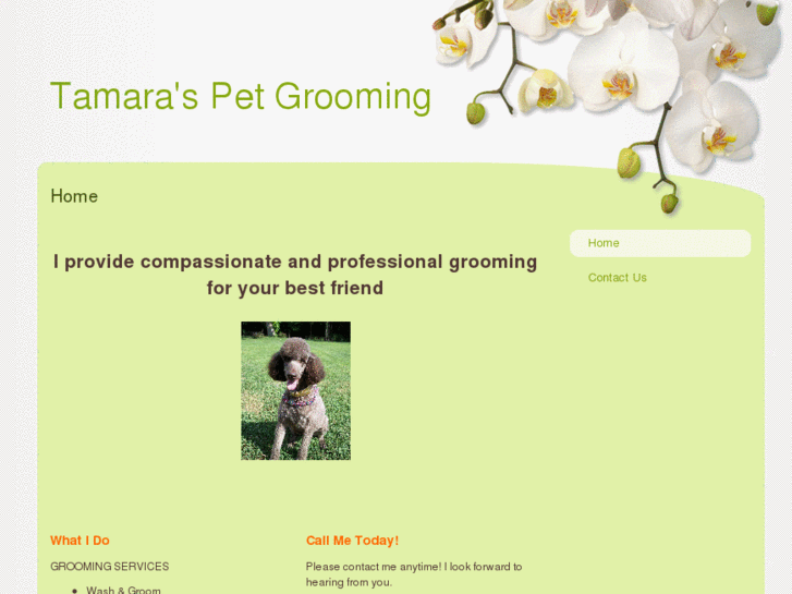 www.tamaraspetgrooming.com