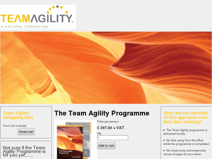 www.teamagility.net