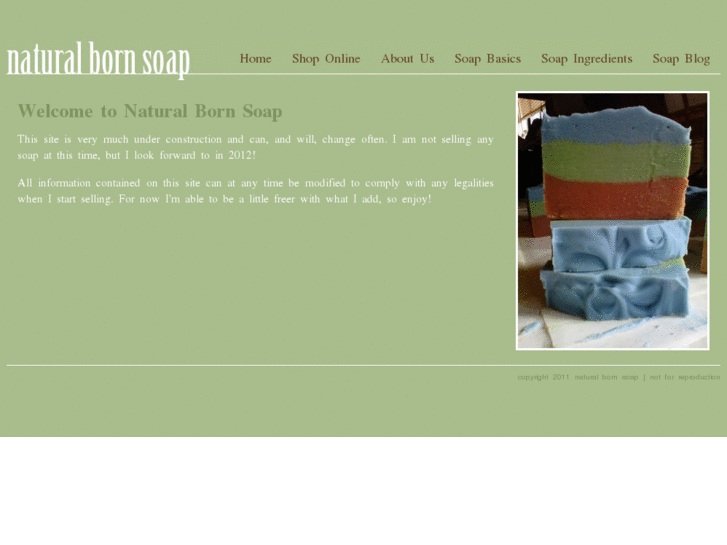 www.naturalbornsoap.com