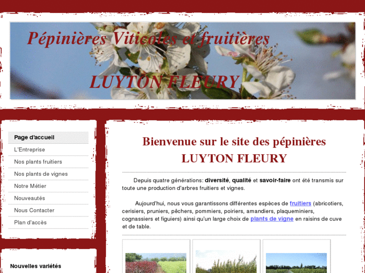 www.pepinieres-luytonfleury.com