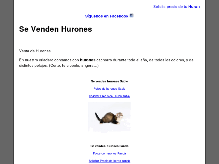 www.sevendenhurones.com