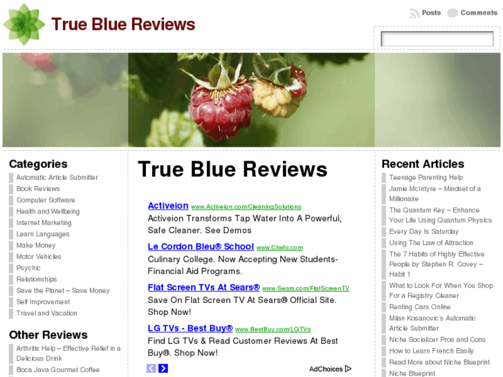 www.trueblue-review.com