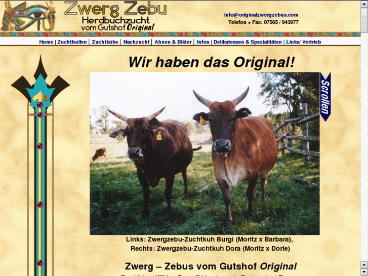 www.zwergzebusvomgutshoforiginal.com