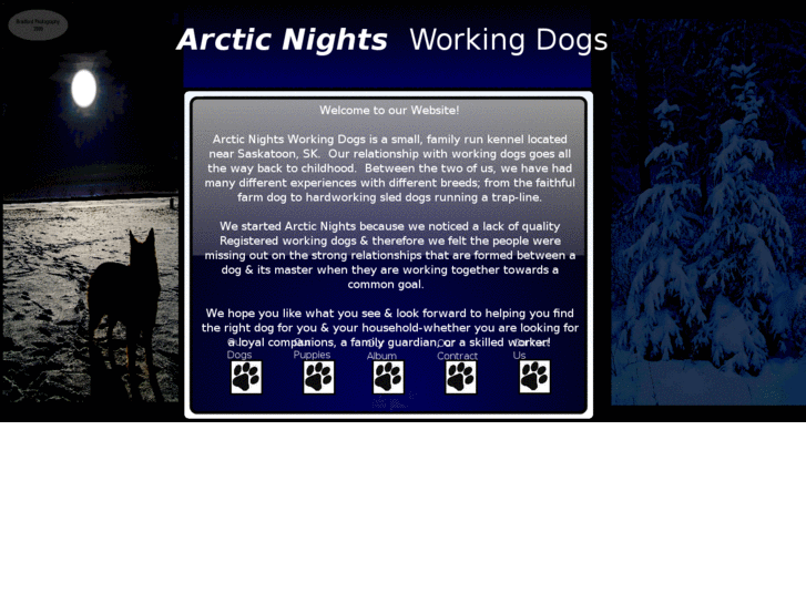 www.arcticnightsworkingdogs.com