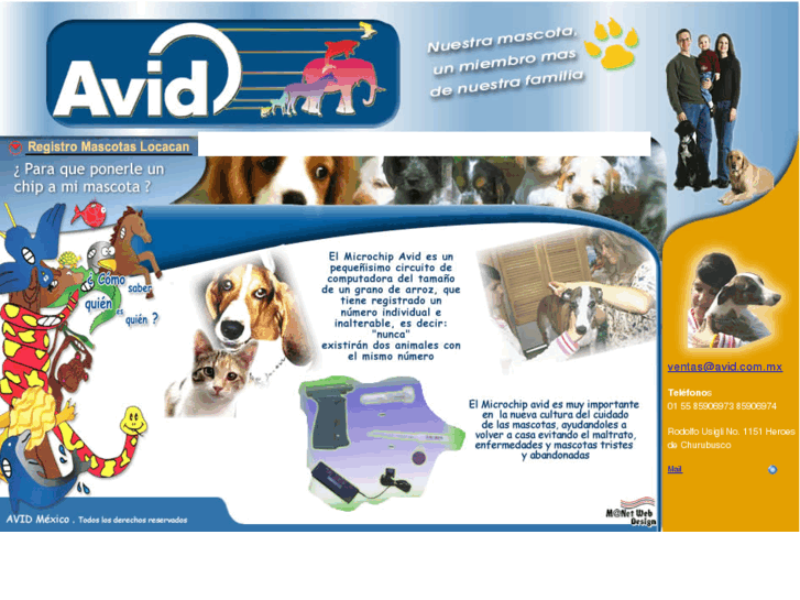 www.avid.com.mx