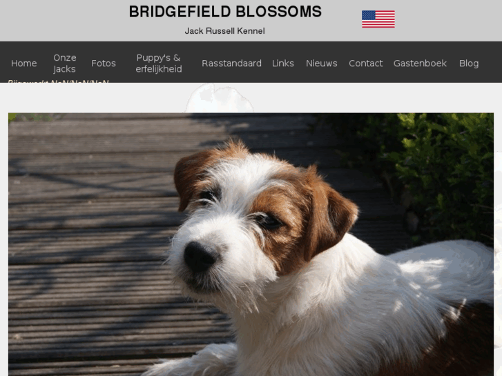 www.bridgefieldblossoms.com