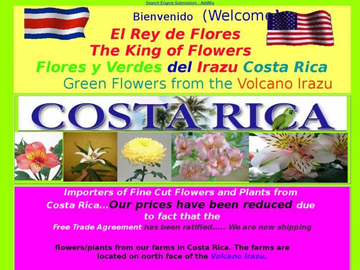 www.costaricaflowersimports.com