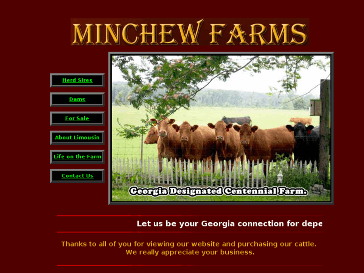 www.minchewlimousin.com