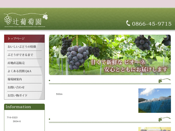 www.tsuji-grape.com