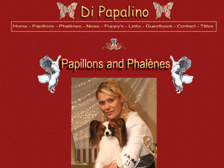 www.dipapalino.be