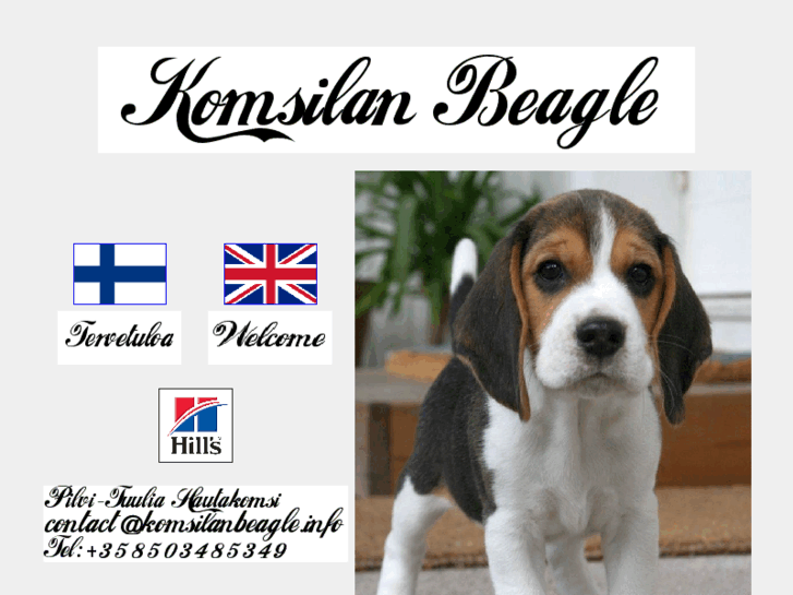 www.komsilanbeagle.info