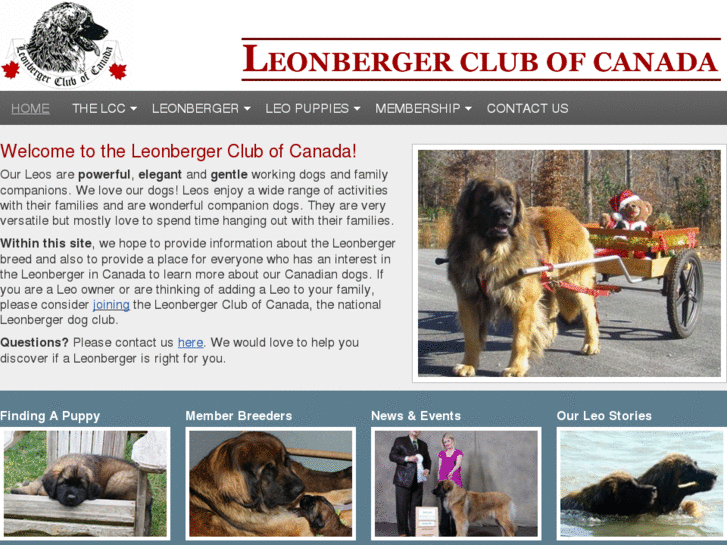 www.leonbergerclubofcanada.com