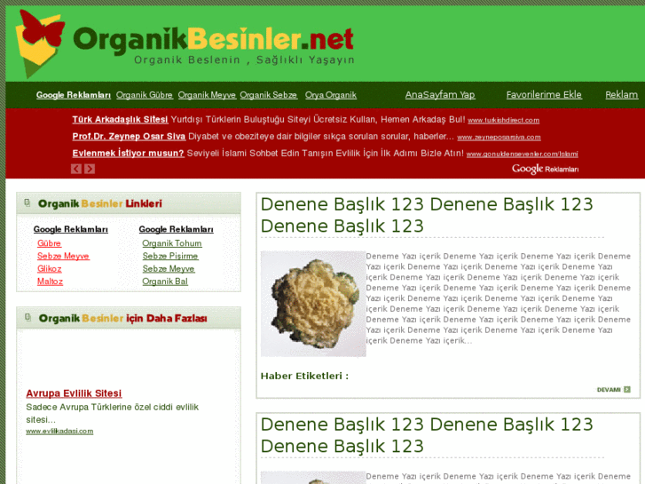 www.organikbesinler.net