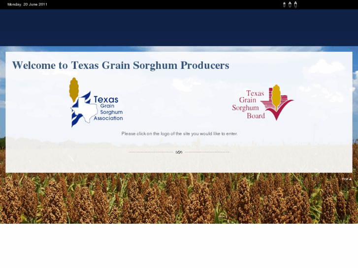 www.texassorghum.org