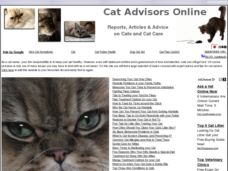 www.cat-advisors-online.com