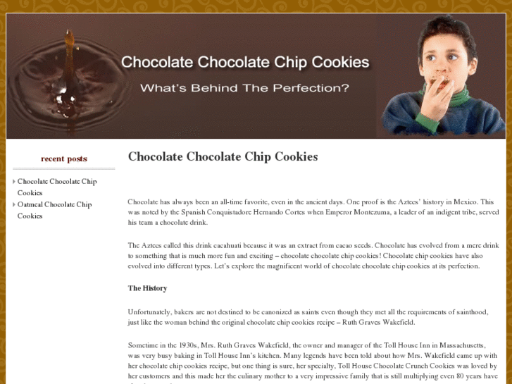 www.chocolatechocolatechipcookies.com