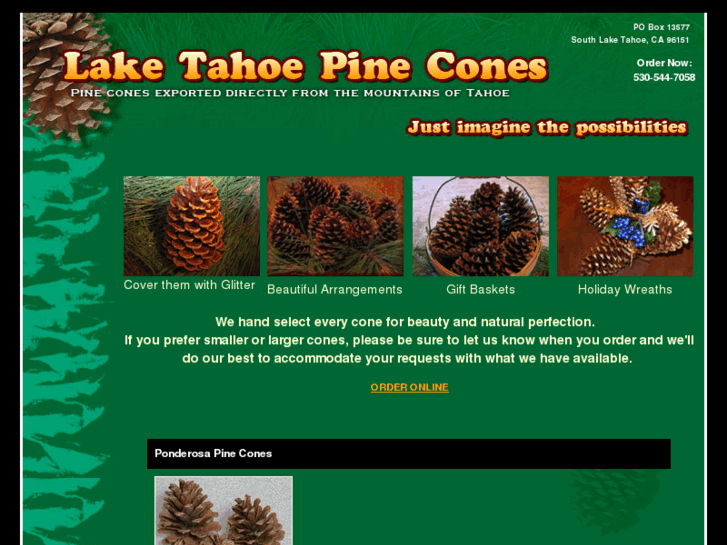 www.pinecones.us