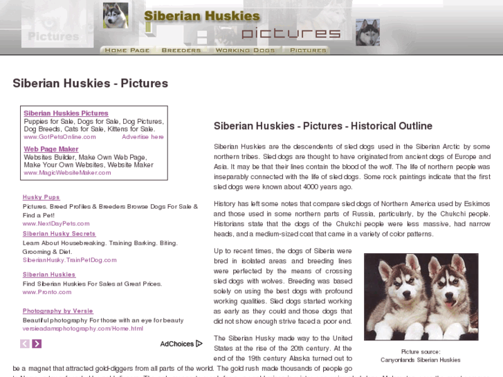 www.siberian-huskies-pictures.com